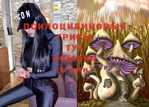 spice Володарск