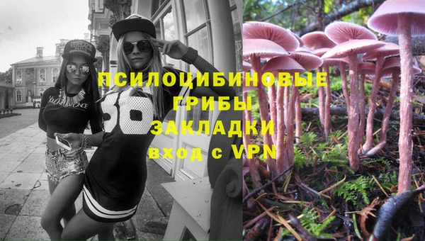 spice Володарск