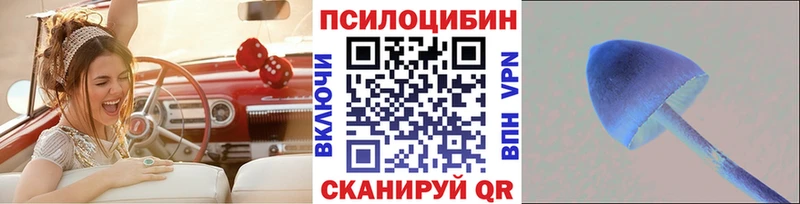 Псилоцибиновые грибы ЛСД  KRAKEN сайт  Жердевка 